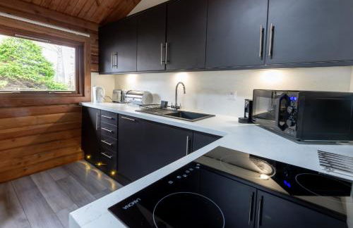 Loch Insh Chalets and Apartments - Foto 53