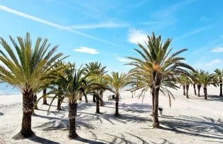 Mirador de Varadero - Photo 39