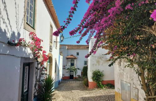 Casa Botanica - Foto 50