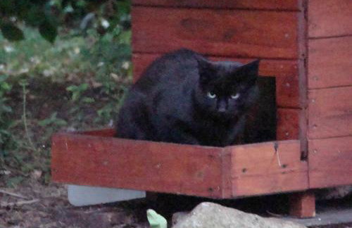 Różany Domek - Foto 15