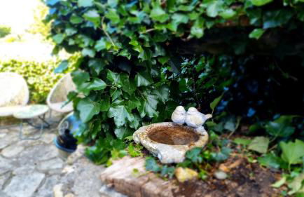 Honeypot Cottage - Photo 29