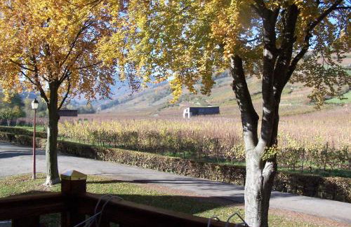 La Maison Jaune - Foto 27