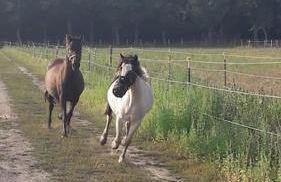 Ferienwohnung Zossen Gästehaus - Foto 30