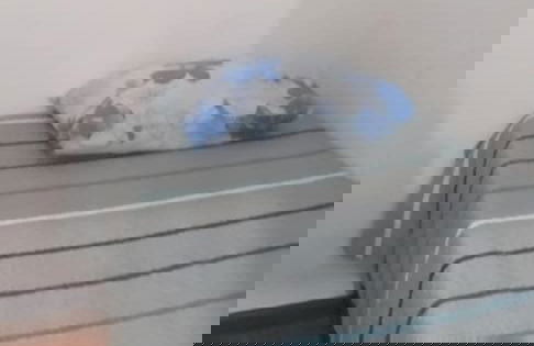 Bem no Centro - Foto 17