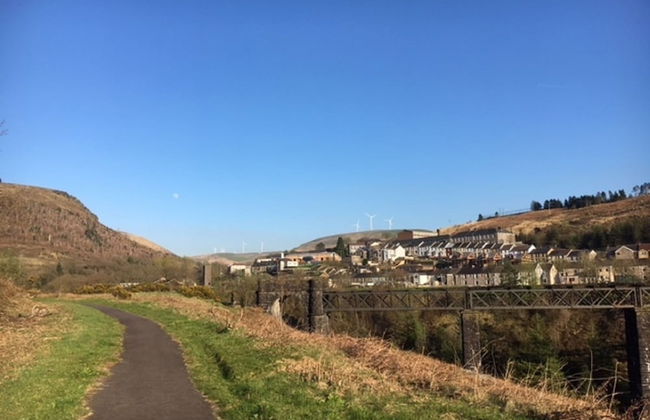 Ty Penacoed - Foto 15