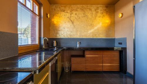 PATEK Premium Apartments - Airport Lawica & MTP & Car races & International trade fairs - Foto 4, stove