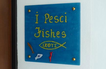 I Pesci nel golfo di Baratti - Foto 8