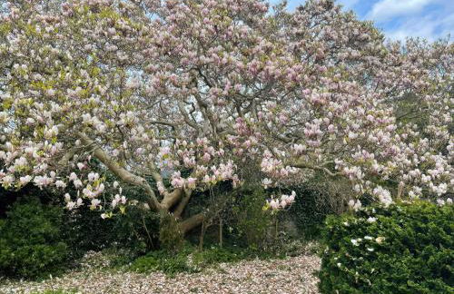 Gweryl Lodge - Foto 51