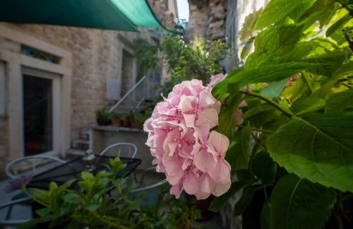 Manor house Aman - Photo 41