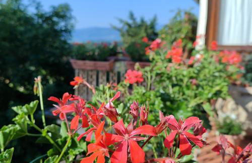 Casa Vacanza in Casentino - Foto 5