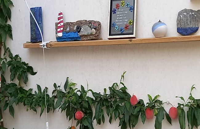 "Hartvig" - 800m from the sea - Foto 9