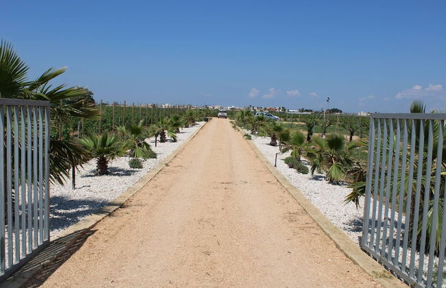 Smiles & Sunsets - Marino's Resort - Foto 36