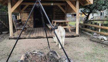 Gospodarstwo agroturystyczne alpaki Pituchówka - Foto 5