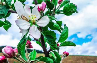 Ferienwohnung Eichkatzel - Foto 47