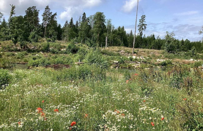 4 Person Holiday Home in Tranas-by Traum - Foto 13