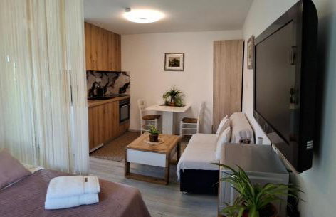 Apartman Sana - Foto 8