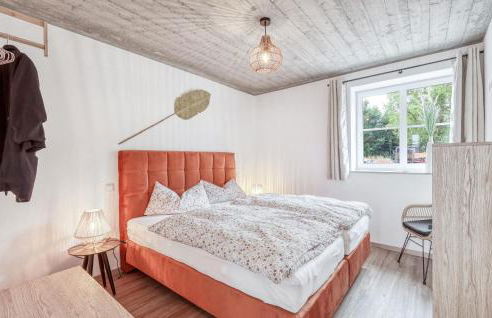 Admiral Vanessa - Foto 27