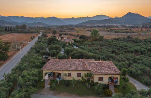 Armandiola - Foto 59