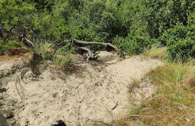 Child Friendly Holiday Home in Fanø near Sea - Foto 7