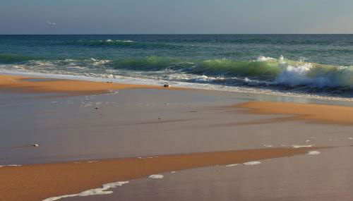 La Rose Allass - Foto 3