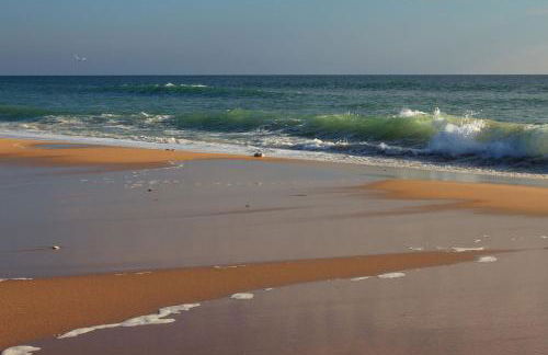 La Rose Allass - Foto 3