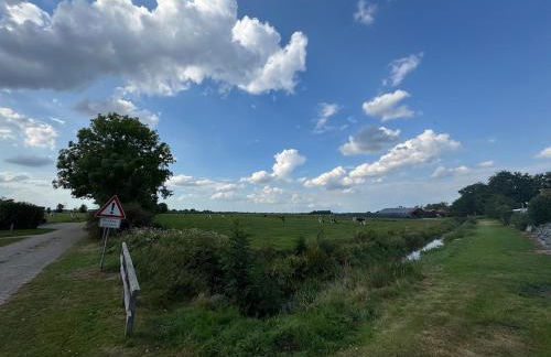 Ferienhaus Wiegboldsbur - Foto 2