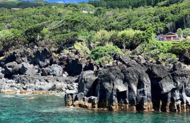 Cantinho dos Cagarros - Photo 19