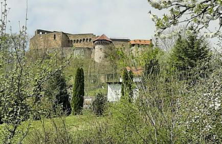 Ferienwohnung Bauchert - Foto 17