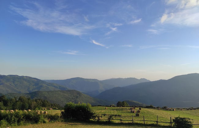 I 3 Faggi - Photo 58