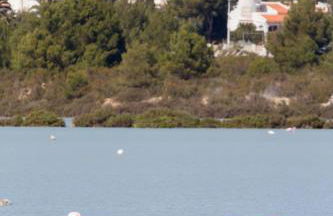 Urbano Blanco Apartments - Photo 41