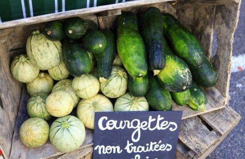 LE GRAND PARIS LA MAISON DE VACANCES - Foto 28