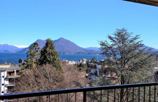 Pettirosso - Photo 29