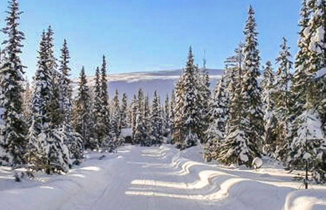 Luostonseita 3 - Foto 2