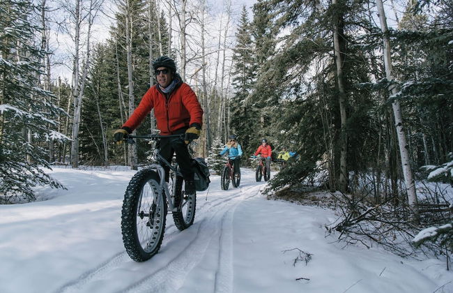 Skyridge Glamping - Foto 35