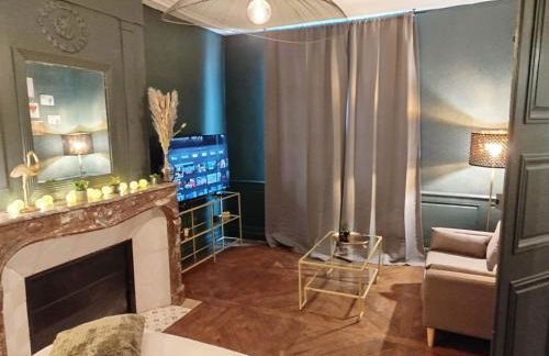 Nancy Vieille ville Stanislas - Foto 60