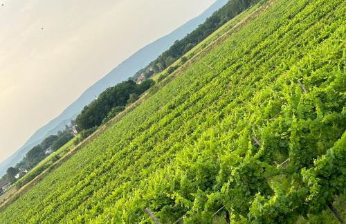 Cruna di Subida Wine Country House - Foto 49