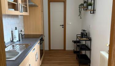 Rebennest in historischen Gebäude aus 1840 - Foto 4