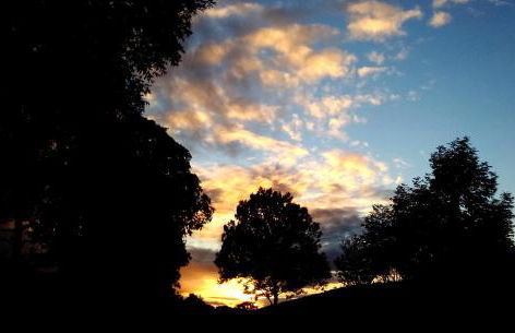 Ferienwohnung Das Fuchsrevier - Foto 16