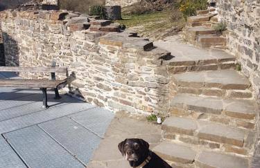 Ferienhaus Leopold mit Burgblick an der Mosel - Foto 9