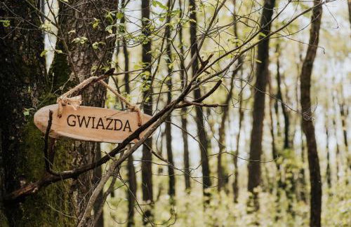 Dziki Las - domki na drzewach - Foto 36