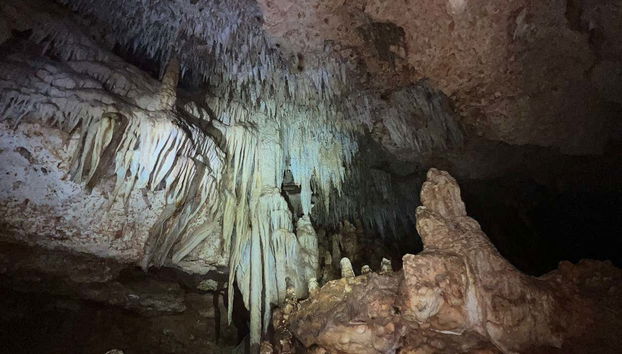 Tour por las cuevas de Bonaire con snorkel - Foto 3