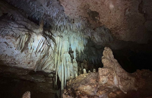 Tour delle grotte di Bonaire con snorkeling - Foto 3