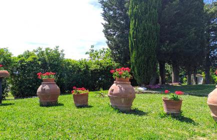 Agriturismo Antico Podere Il Polveraio - Foto 48