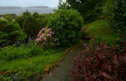 Hawthorn Cottage - Foto 27