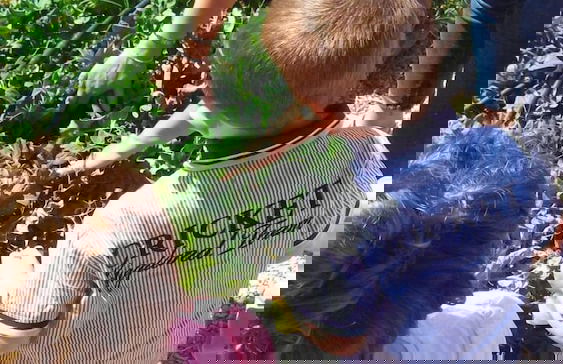 Agriturismo Fattoria Il Bruco - Foto 48