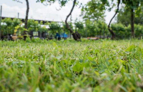 Albergo Diffuso Magredi - Foto 32