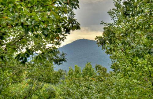 Mama Bears Hideaway Mountain views hot tub pet-friendly - Foto 39