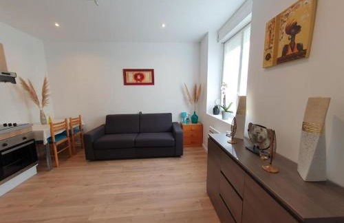 Appart'hôtel, IKIMO 5 appartements entiers à votre disposition au choix - Foto 38