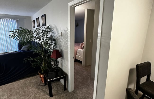 2 BR con patio por el centro comercial - Foto 75