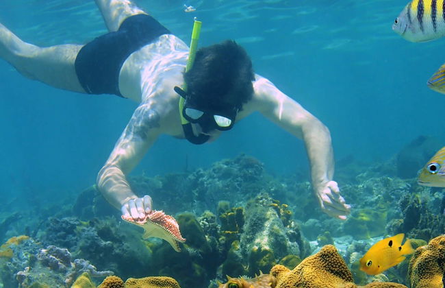 Big Island Snorkel Tour - Foto 1